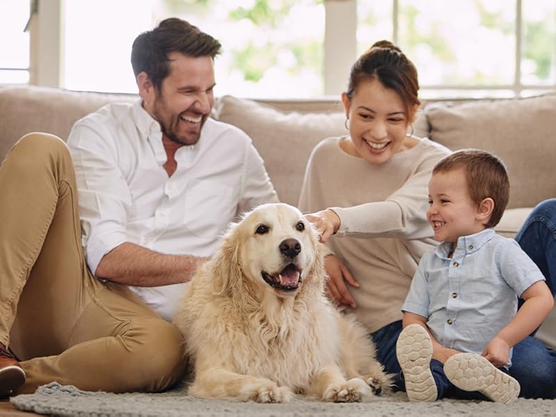 Family with a young child and dog on a sofa